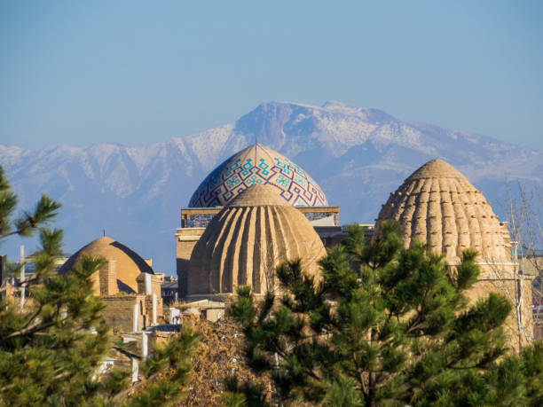 Top Menu Design Agencies in Uzbekistan