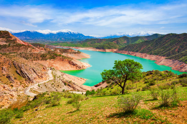 Top Custom Graphics for Video Agencies in Uzbekistan