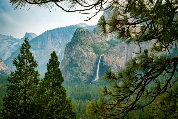 Top or Best Postcard Design Agencies and Companies in Santa Clarita, California