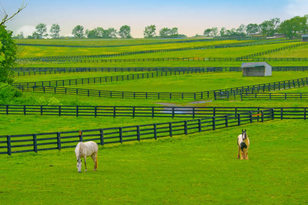 Top 5 Catalog Design Agencies in Kentucky