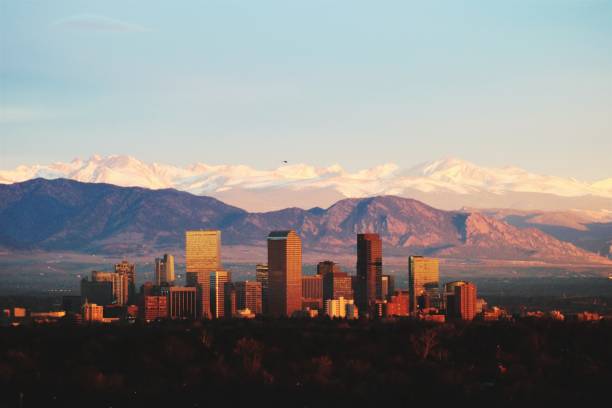Top 5 Menu Design Agencies in Colorado