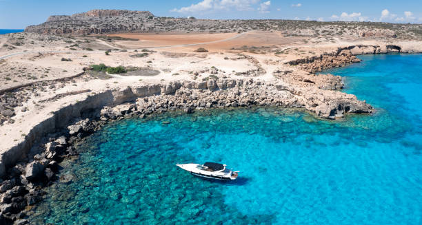 Top Social Media Management Companies in Cyprus