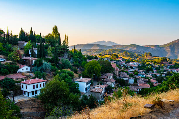 Top Animation & Motion Graphics Agencies in Turkey