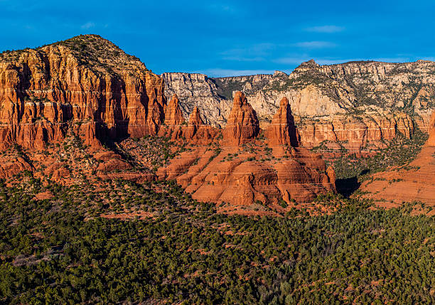 Top or Best Menu Design Agencies and Companies in Goodyear, Arizona