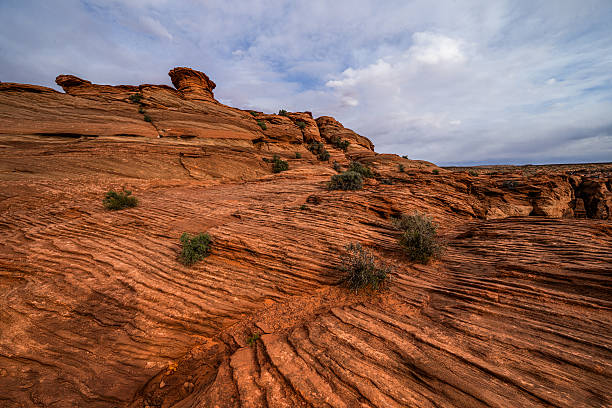 Top or Best Poster Design Agencies and Companies in Goodyear, Arizona