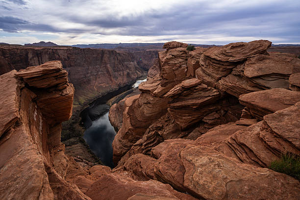 Top or Best Mural Design Agencies and Companies in Goodyear, Arizona