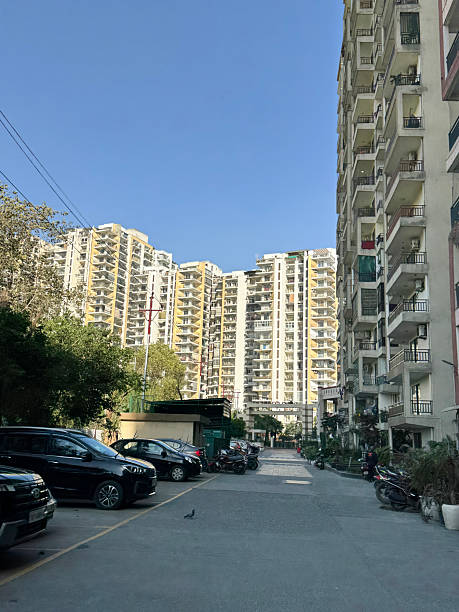 Top or Best Web & Mobile Design Agencies and Companies in Ghaziabad, India