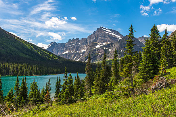 Top or Best Graphic Design Subscription Services and Companies in Lockwood, Montana