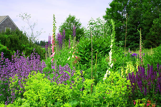 Top 5 Invitation Design Agencies in Vermont