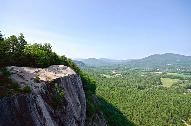 Top 5 Catalog Design Agencies in New Hampshire