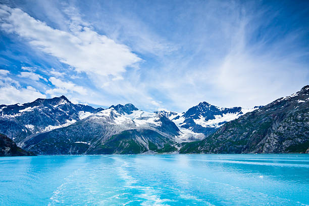 Top 5 Menu Design Agencies in Alaska