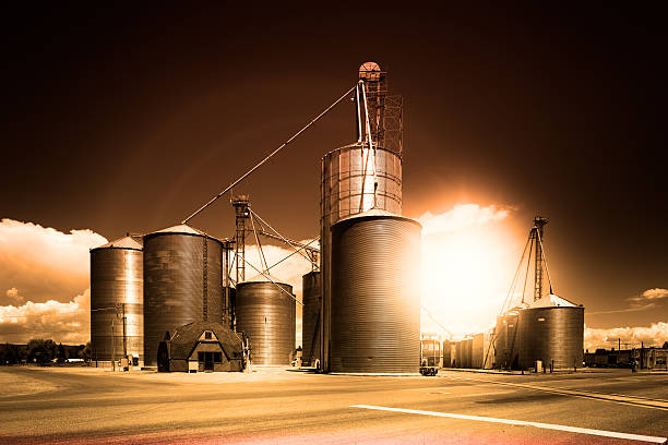 Best or Top Twitch Management Agencies and Companies in Rexburg, Idaho