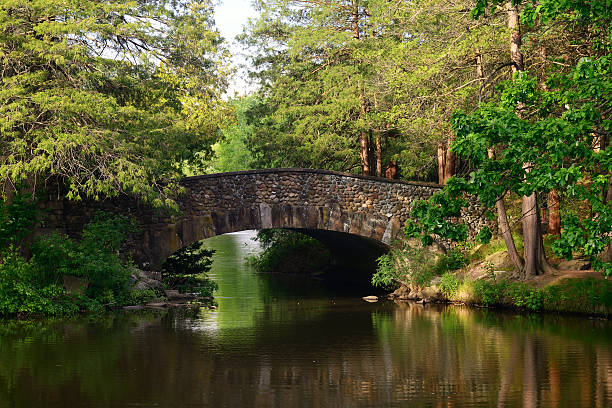 Top or Best Social Media Design Agencies and Companies in West Haven, Connecticut