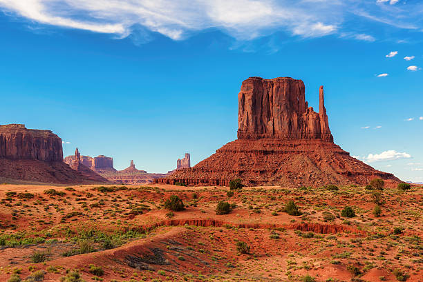 Top or Best Social Media Design Agencies and Companies in Tucson, Arizona