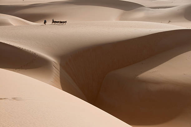 Best Facebook Management Companies in Mauritania