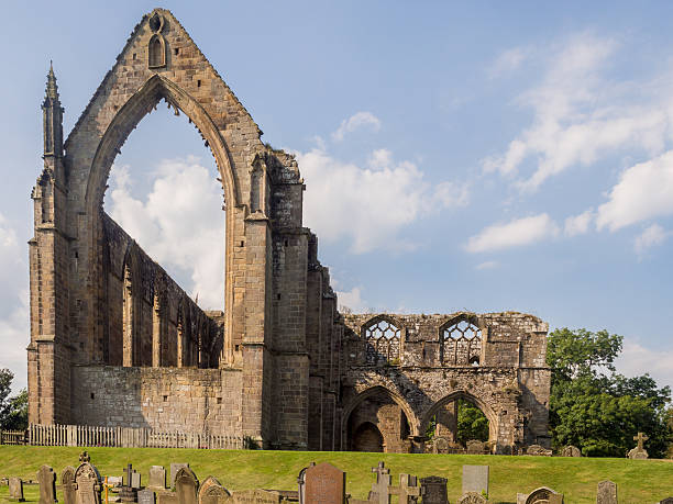 Top or Best TikTok Management Agencies and Companies in Bolton, England