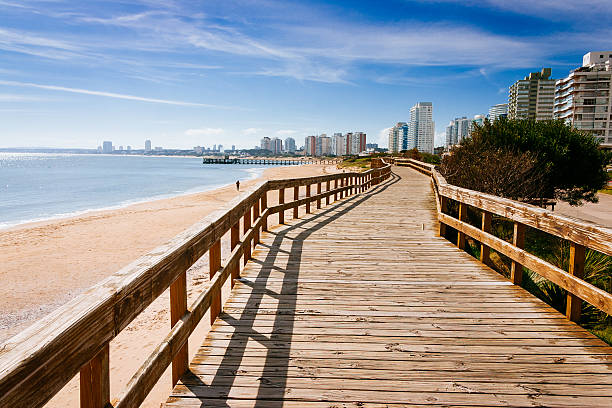 Top Custom Graphics for Video Agencies in Uruguay