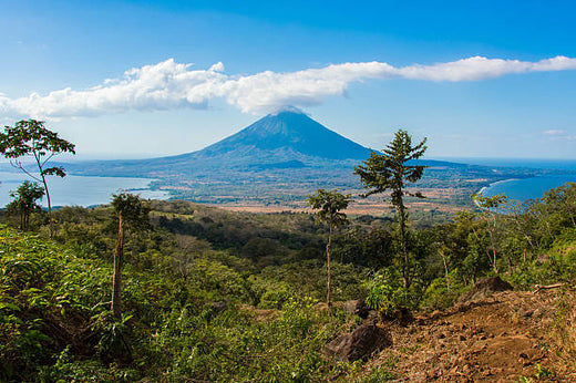 Top 5 Presentation Design Agencies in Nicaragua
