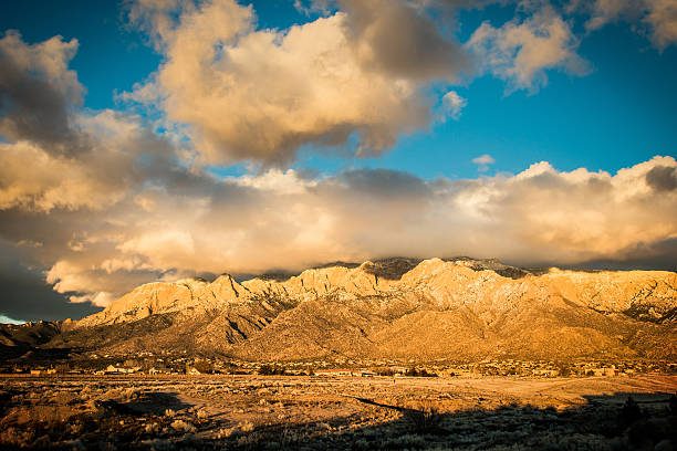 Top 5 Catalog Design Agencies in New Mexico