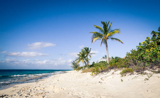 Top Animation and Motion Graphics Agencies in Tuvalu