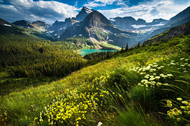 Top or Best Email Campaign Design Agencies and Companies in Helena Valley West Central Montana