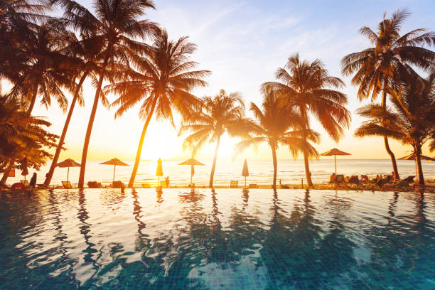 Top 5 Menu Design Agencies in Hawaii