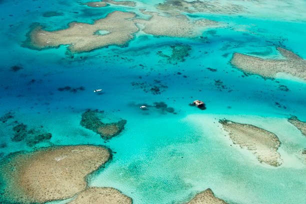 Top Social Media Management Companies in Fiji