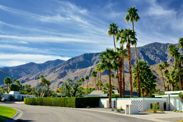 Top or Best Brochure Design Agencies and Companies in Santa Clarita, California