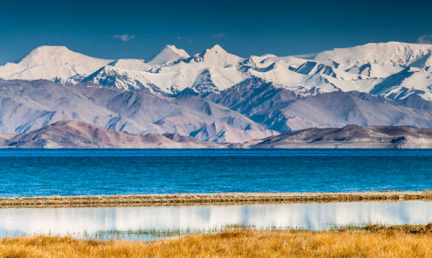 Top Menu Design Agencies in Tajikistan