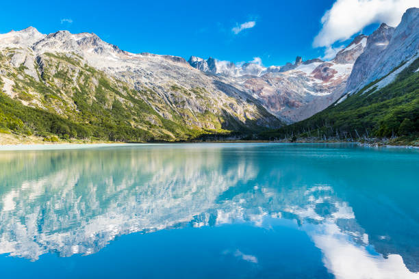Top Catalog Design Agencies in Argentina