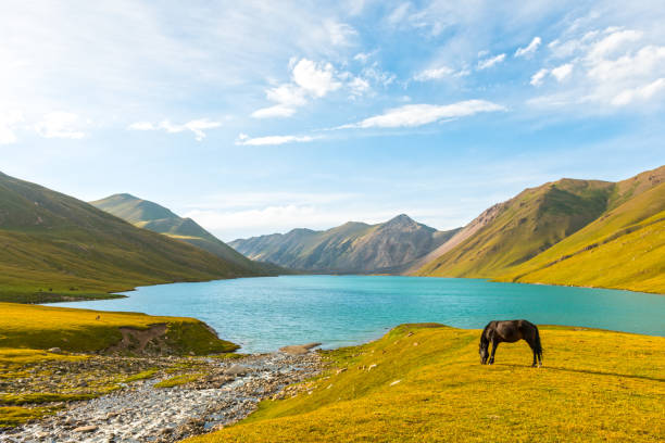 The Best Facebook Management Companies in Kyrgyzstan