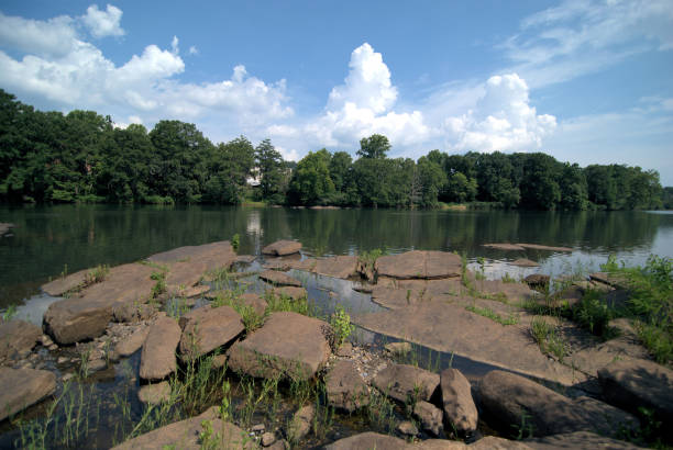 Top or Best Virtual Background Design Agencies and Companies in Tuscaloosa, Alabama