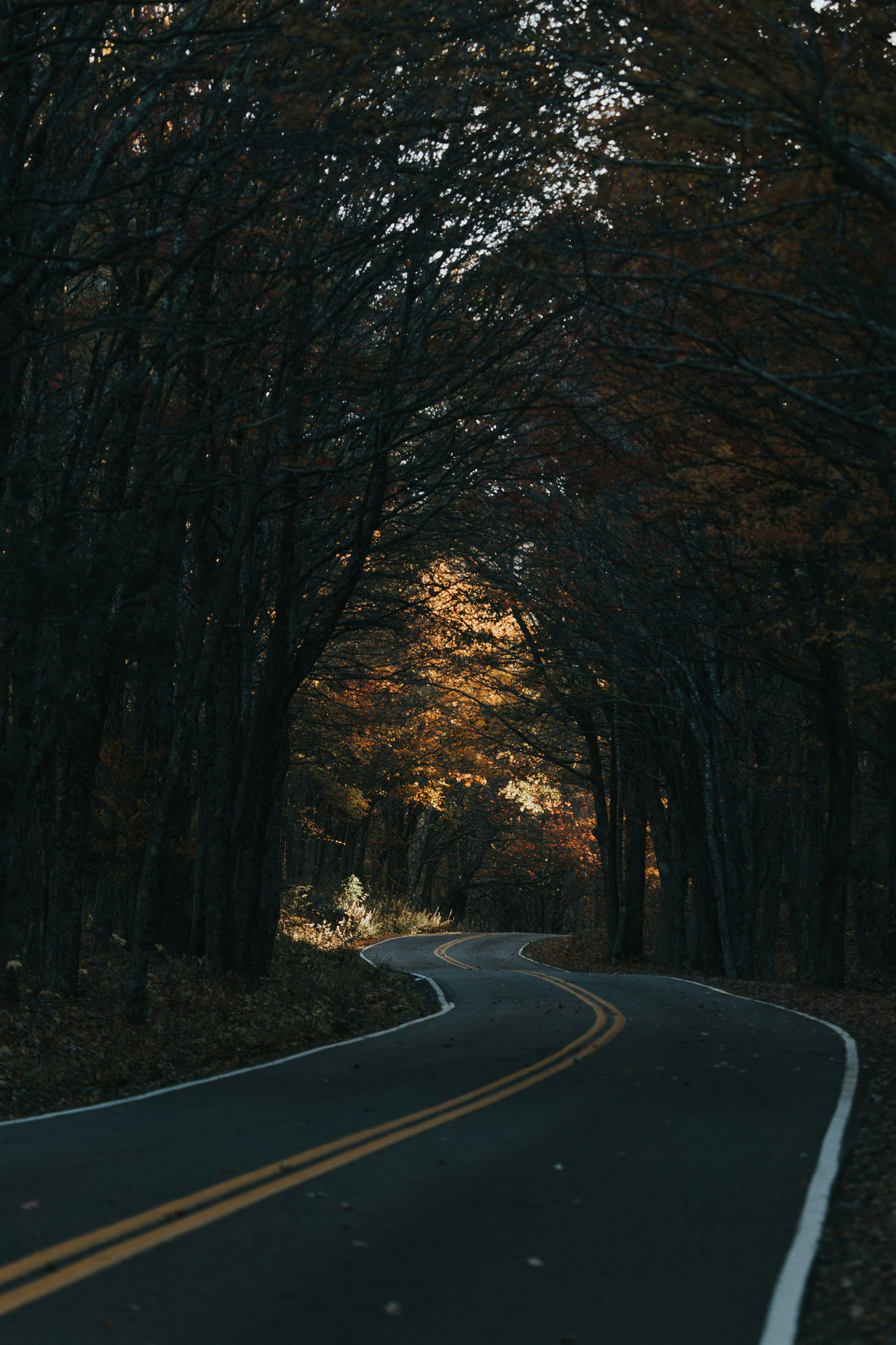 Top and Best Custom Graphics for Videos Agencies and Companies in Chesapeake, Virginia