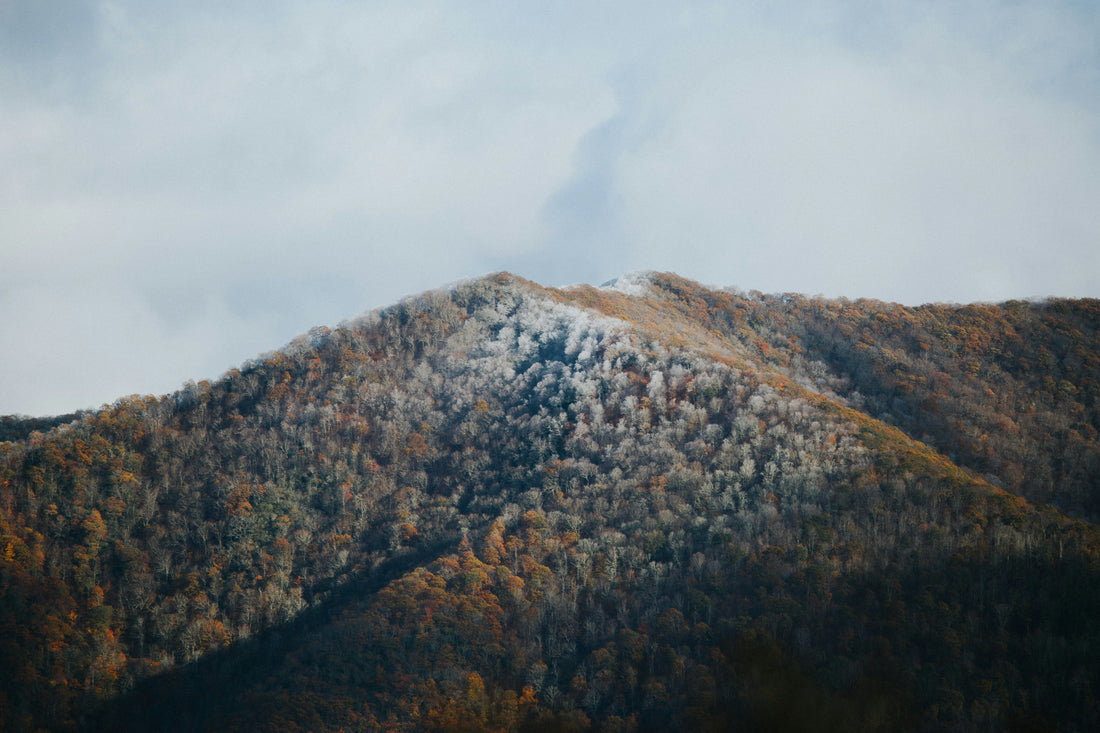 Top and Best Copywriting Agencies and Companies in Roanoke, Virginia