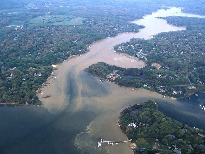 Top or Best App UI/UX Design Agencies and Companies in Severn, Maryland