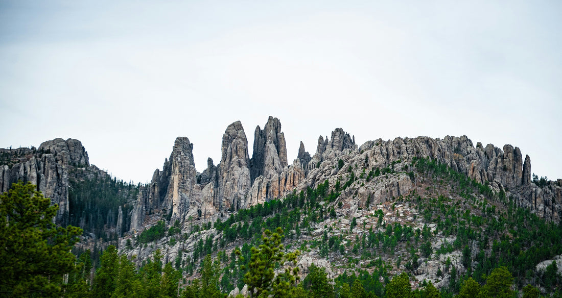 Top and Best Flyer Design Agencies and Companies in Mitchell, South Dakota