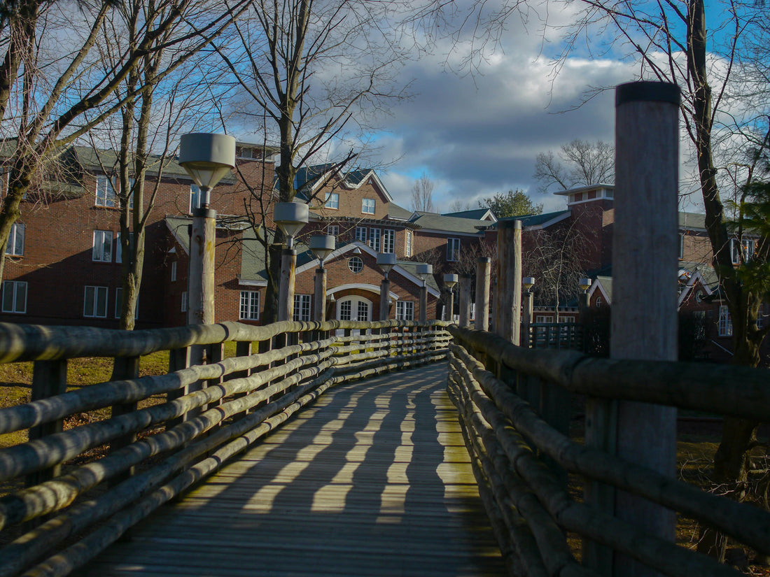 Top and Best Graphics for Streamers Agencies and Companies in Bayonne, New Jersey
