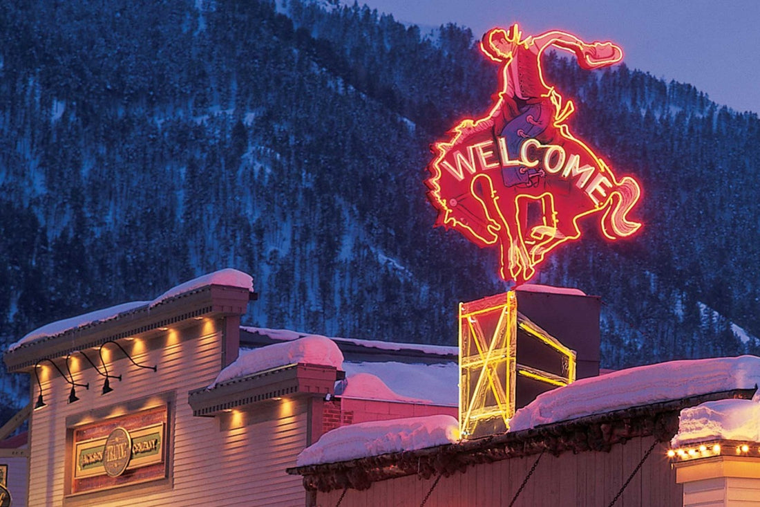 Top or Best Animation &amp; Motion Graphics Agencies and Companies in Jackson, Wyoming