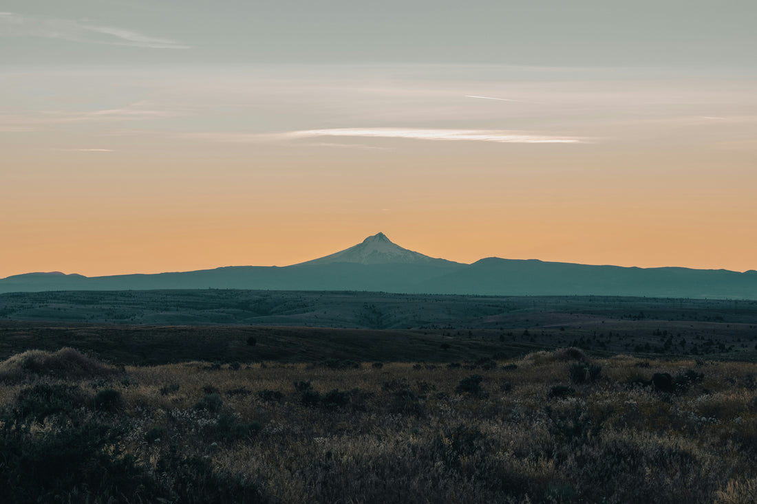 Top and Best YouTube Management Agencies and Companies in Spearfish, South Dakota