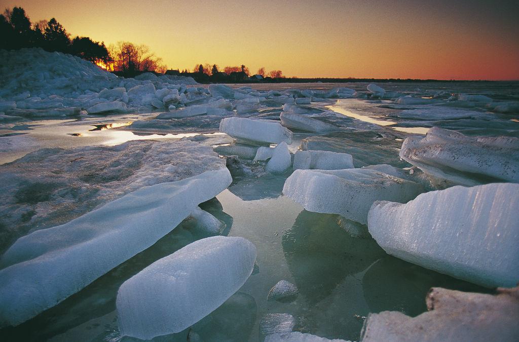 Top or Best Talent Management Agencies and Companies in Estonia