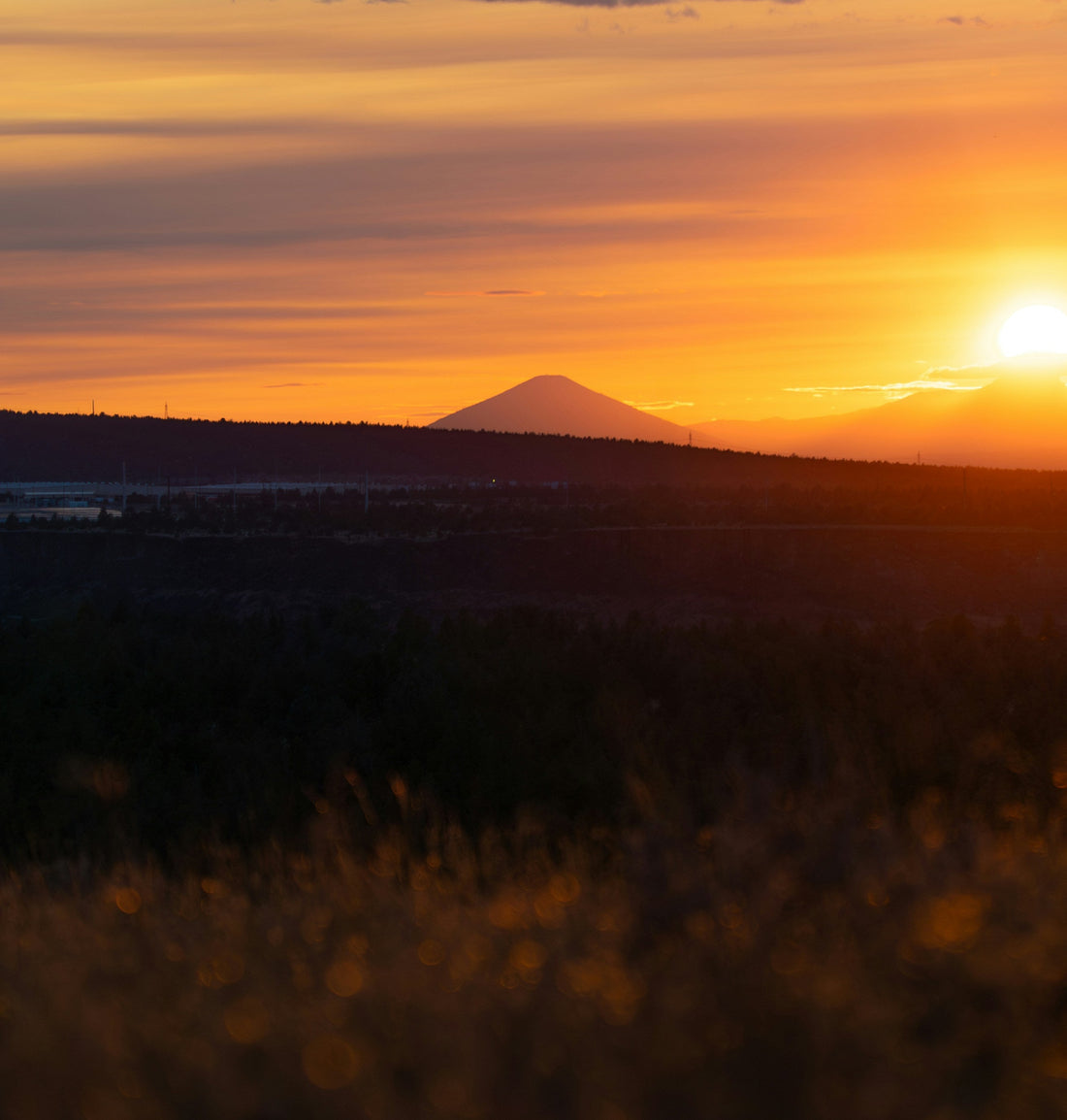 Top or Best Graphic Design Subscription Agencies and Companies in Medford, Oregon