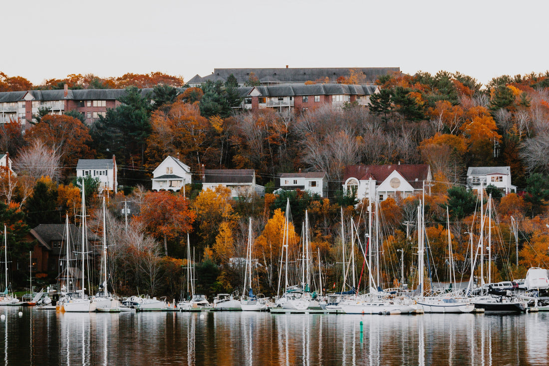Top and Best Business Card Design Agencies and Companies in Auburn, Maine