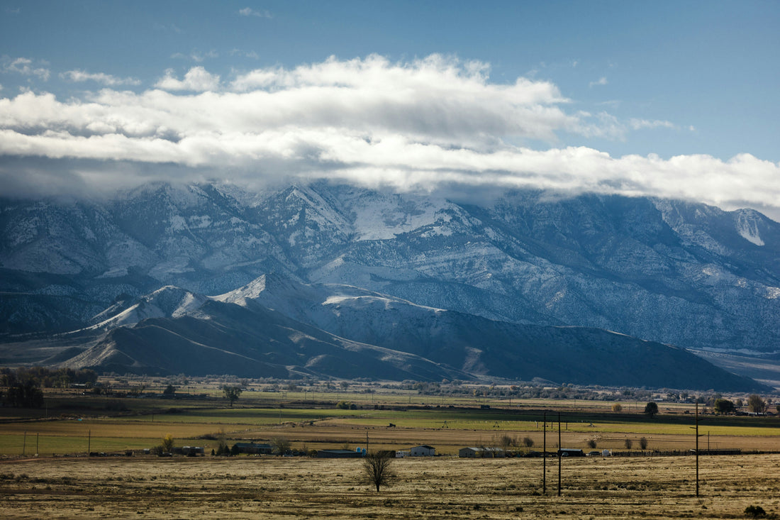 Top and Best LinkedIn Management Agencies and Companies in Torrington, Wyoming