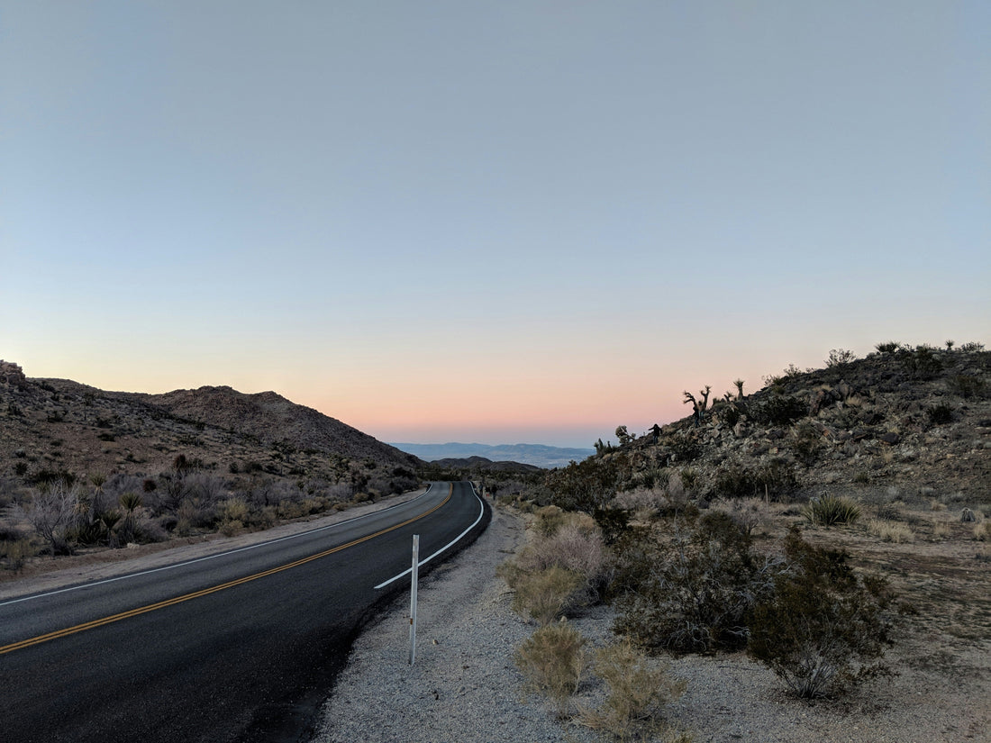 Top and Best Twitch Management Agencies and Companies in Paradise, Nevada