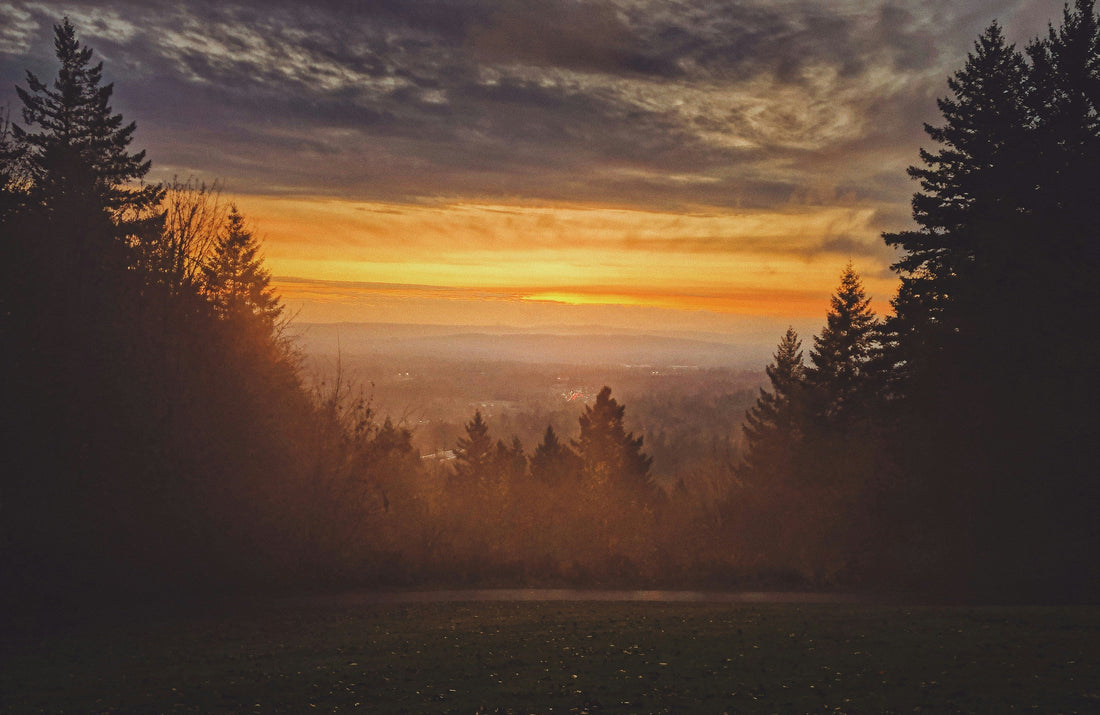 Top and Best Social Media Management Agencies and Companies in Portland, Oregon
