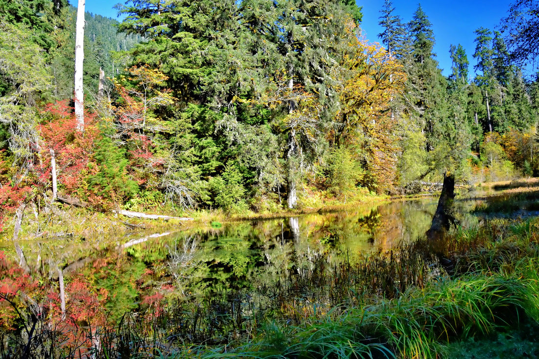 Top and Best Direct Mail Design Agencies and Companies in Bend, Oregon