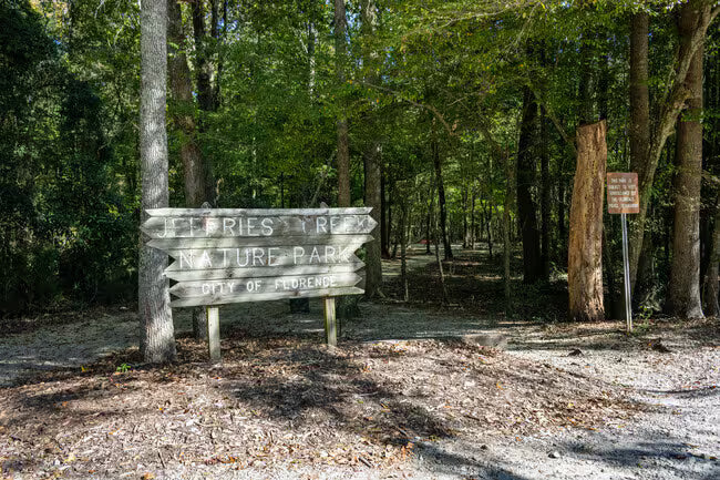 Top or Best Mural Design Agencies and Companies in Florence, South Carolina