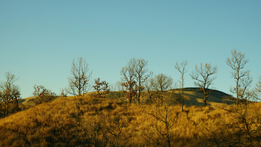 Top or Best Graphic Design Agencies and Companies in Emporia, Kansas