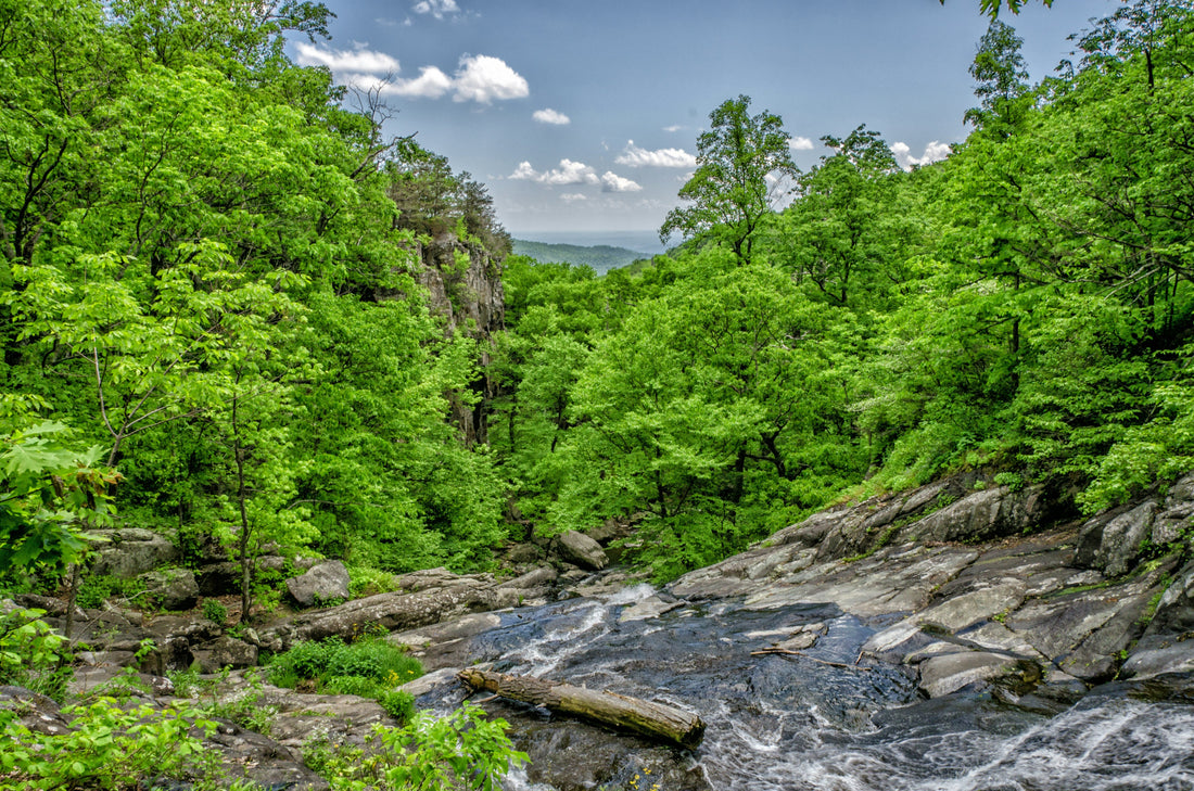 Top and Best YouTube Management Agencies and Companies in Roanoke, Virginia