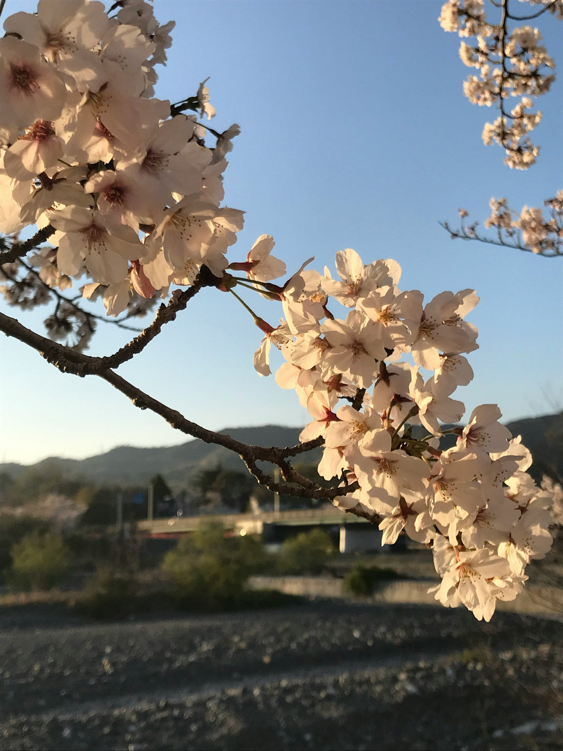 Top or Best Web and Mobile Design Agencies and Companies in Spring Valley, Nevada